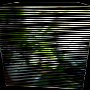 object-line-color-6.gif